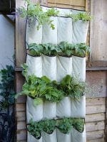 Άνοιξη. Ένας κήπος με φυτά μέσα στο μικρό σπίτι - Πλαστική παπουτσοθήκη