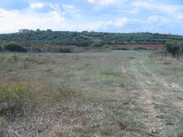 Έλεγχος πολεοδομικών περιορισμών: δασικοί χάρτες και αρχαιολογικές ζώνες