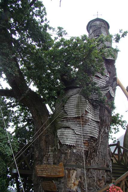 Μια εκκλησία πάνω στο δέντρο