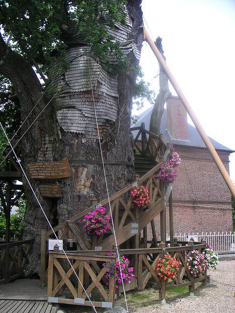 Μια εκκλησία πάνω στο δέντρο