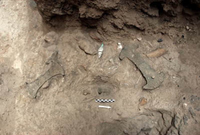 ΑΚΡΩΤΗΡΙ ΘΗΡΑΣ. Μοναδικά ευρήματα από την προϊστορική πόλη του Ακρωτηρίου Θήρας