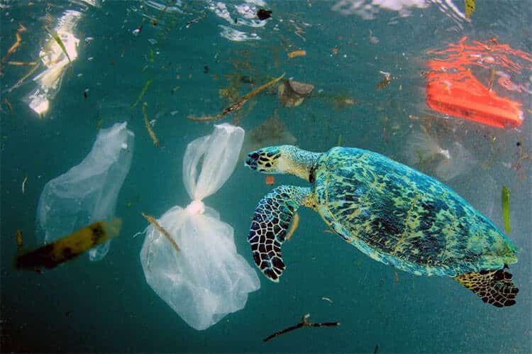 Περίπου 26.000 τόνοι έξτρα πλαστικών αποβλήτων στις θάλασσες λόγω covid