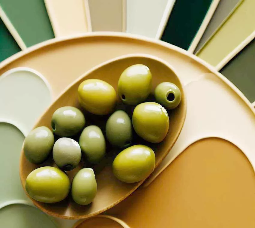 Χρώματα της Ελιάς στη Διακόσμηση: Ψυχολογία, Οφέλη